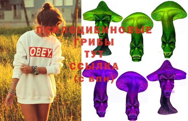 2c-b Бугульма