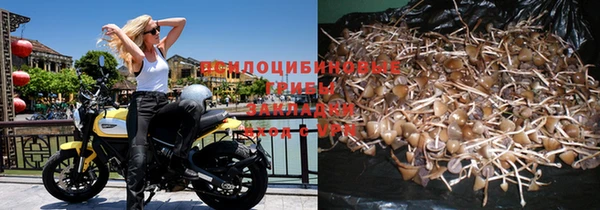2c-b Бугульма