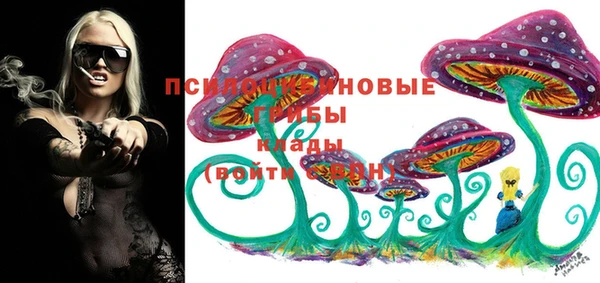 гашиш Бородино
