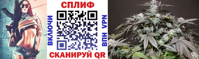 mega зеркало  где продают наркотики  Гремячинск  Бошки Шишки тримм 